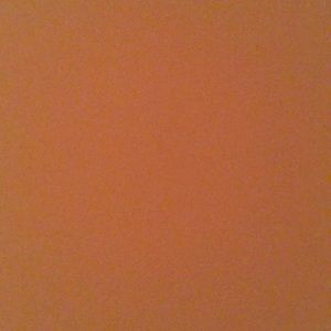 Meet your Posher, Briana